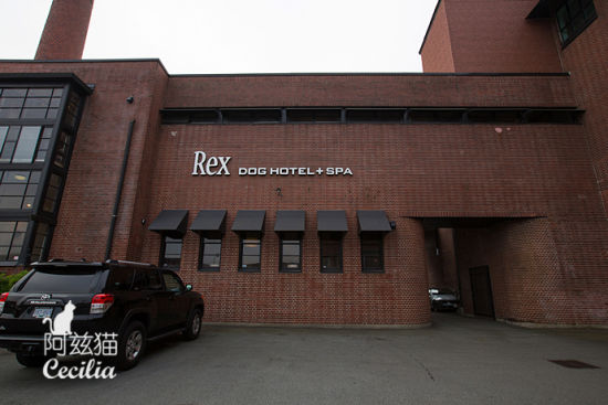 @阿兹猫:狗狗也有五星酒店--雷克斯狗酒店的故