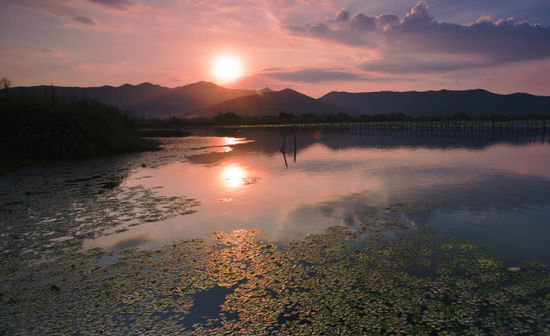 长田漾湿地(图摄/南太湖论坛 渔翁zjhzsjr)