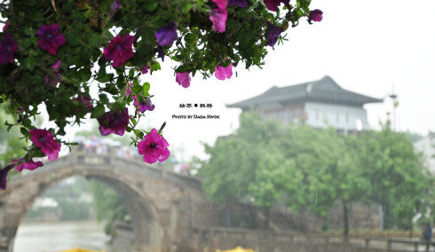 组图:烟雨姑苏城 水墨桃花坞(2)_新浪旅游_新浪网