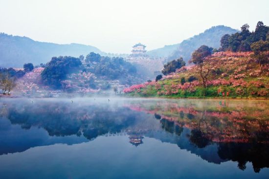 春到萧山浦阳赏桃花 如诗如画桃花源(组图)