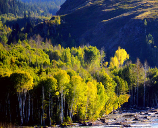 铁列克提大峡谷 探寻西北边陲的五号界碑