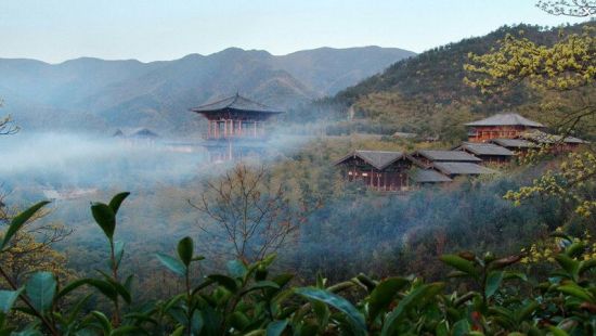 组图:春日明媚 就应该去长兴喝茶