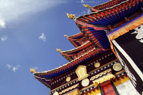 大西北游记去郎木寺拍摄信仰的晨色光芒