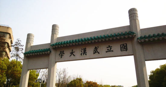 武汉大学 武汉大学
