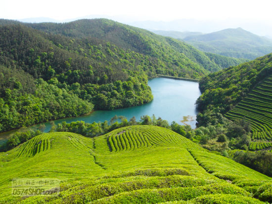 03    最清新:东钱湖福泉山   福泉山景区位于东钱湖的东南山地,濒