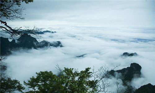 雨后天门山现绝美云海 风起云涌似天上人间(组