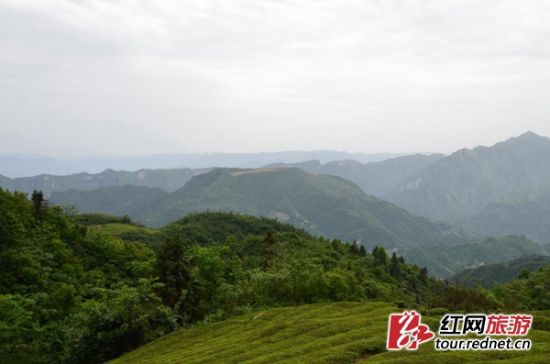 这是一条红色道路 石门县苏维埃政府旧址就在这条路上的贺家台。1928年石门县革命群众在湘乡特委领导下,举行年关暴动和南乡起义。随着斗争的发展,国民党疯狂的屠杀,暴动相继失败。南乡起义失败后,县委书记曾庆轩8月27日在石门县英勇就义。于是中共石门县委决定,以泥市(现壶瓶山镇)为革命根据地,在贺家台建立石门县苏维埃政府,转入武装斗争,杨万柳担任县委书记,陈奇谋、汪毅夫负责军政工作。一直坚持到1932年,红二、红六两军团北上松滋、鹤峰为止。贺龙元帅在这条路上战斗过。 这是一条民俗风情路 (这是我们的