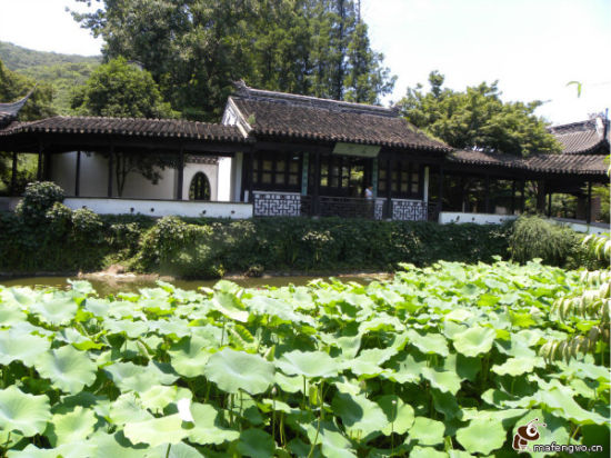 细数无锡夏日赏荷好去处