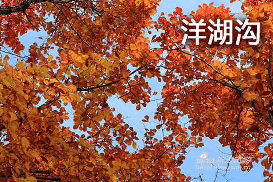 辽宁赏枫地图 本溪篇