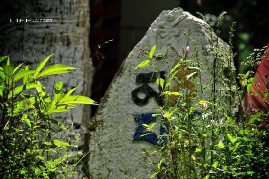 绿色的巴松措，千年的措宗寺