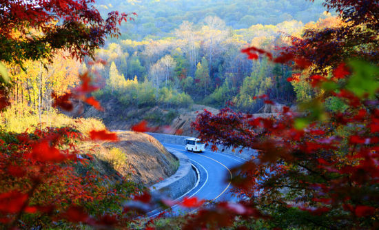 吉林寒葱顶国家森林公园