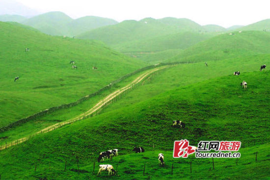 湖南最迷人的乡间美景 长梯隘村_旅游攻略_吃喝玩乐_特色祁阳网