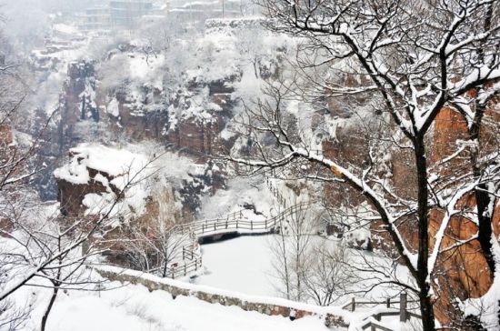 下雪了 和Ta来一场风花雪月的故事吧