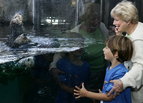 ׺ˮ(Monterey Bay Aquarium)