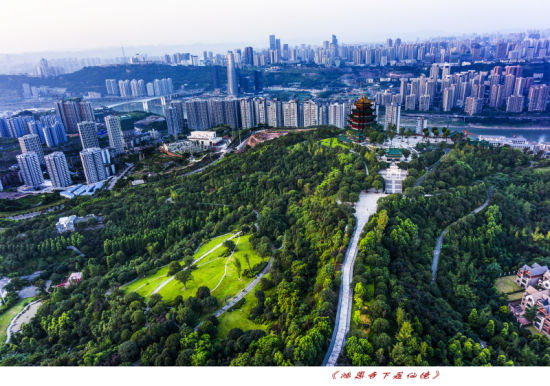 2014纪录两江纪实摄影大赛部分作品展 公园篇