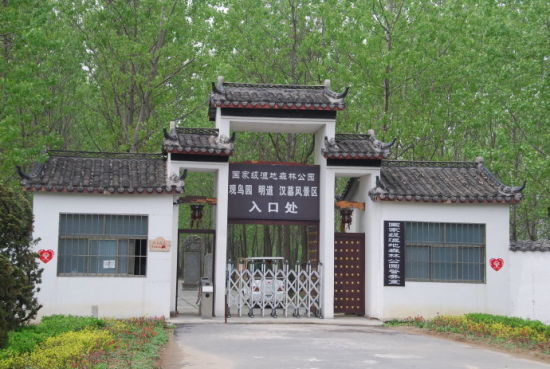 洪泽湖湿地 寻觅野生白鹭