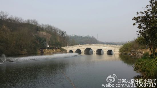 重庆园博园 摄\/@努力奋斗的小颖子