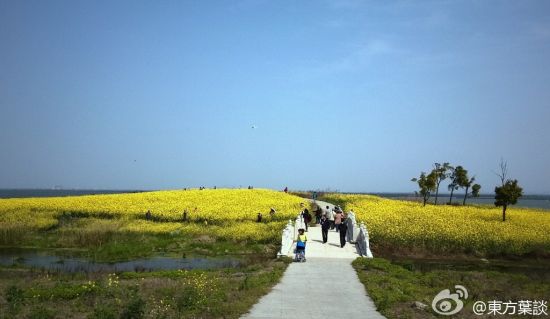 阳澄湖"美人腿"及莲花岛   "美人腿"风景区,因