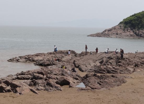 春暖花开 去宁波海滩共享浪漫