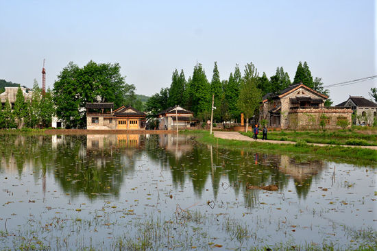 信阳市平桥区的郝堂村2009成为土地流转改革的试点,中国乡村建设