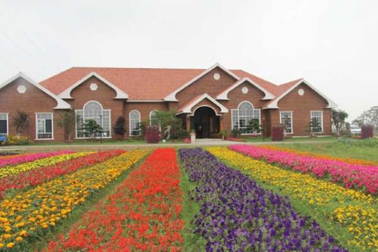 吃喝玩乐在身边 盘点南京周边最摆农家乐(4)