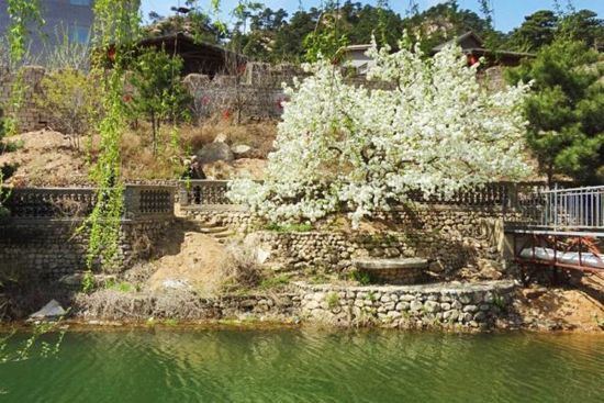 登高锦州医巫闾 千树万树梨花开