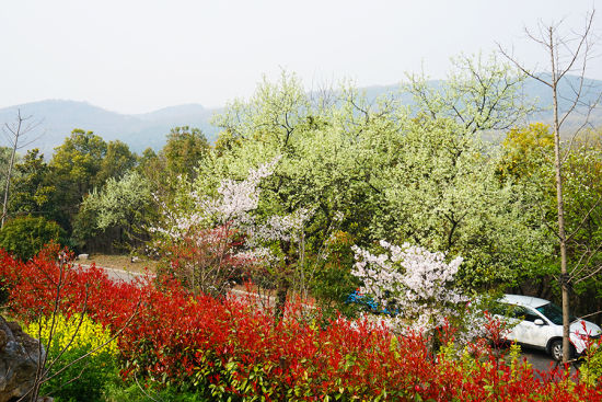 寻豆腐之乡 看八公山风景