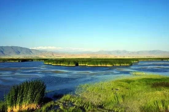 鲜为人知的新疆最美地:可可托海