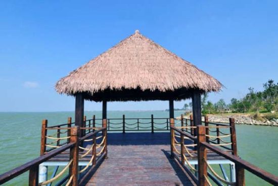 不出远门去“看海” 游瑶湖郊野森林公园