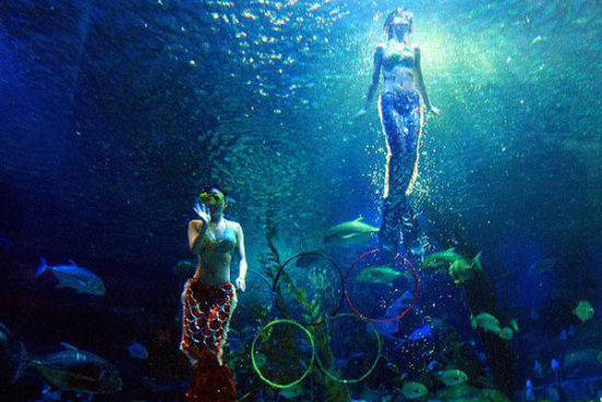 欢畅六一 长沙海底世界欢迎你_新浪旅游_新浪网