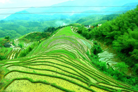 美景天成 洒落人间 游赣州崇义上堡梯田