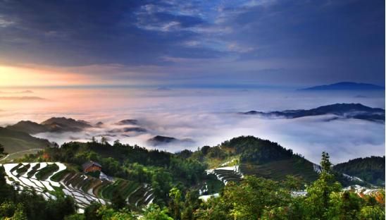 新化紫鹊界梯田全球认租米兰世博会首发