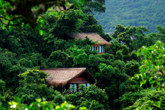 伴山面海,每栋别墅如同鸟儿筑巢一样,巧筑木屋于热带雨林之间,悬崖