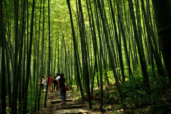 石塘竹海 小九寨里好乘凉