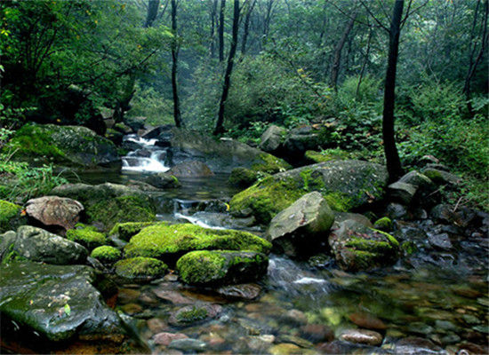 纵使骄阳似火 也能清凉舒爽躲过(2)_新浪旅游_新浪网