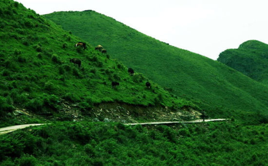 三,于都屏山 于都屏山牧场坐落在江西赣州于都县南部的靖石乡