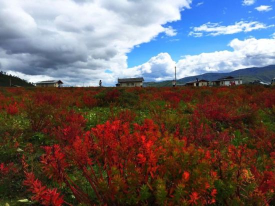 秋游云南八大景点推荐