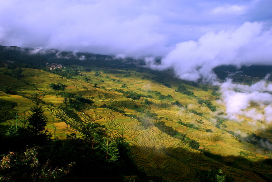 元阳梯田(图片来源:@David于家伟)