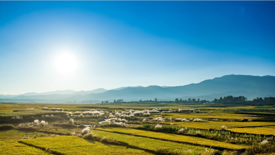 秋游云南八大景点推荐