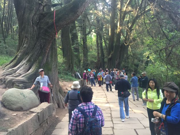 夕阳红遍大中国旅游专列走进广元