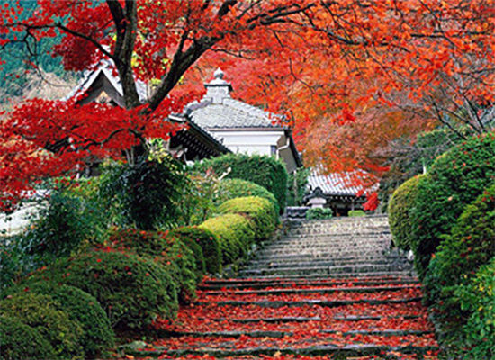 梨木台景区(图源:网络)