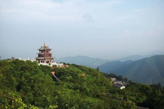 赏桂爬山寻野趣 宁波周边秋日斑斓美景地_新浪旅游_新浪网