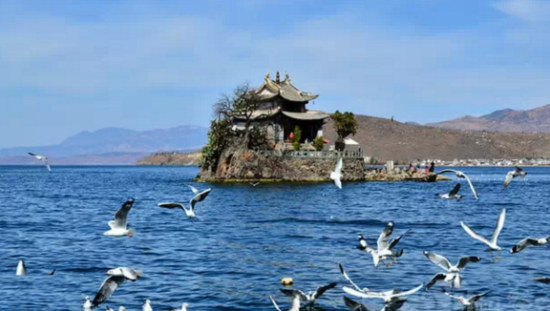 Ǯ