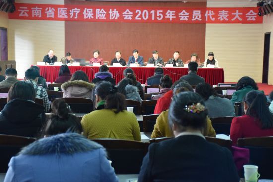云南省医疗保险协会2015年年会 会员大会在昆