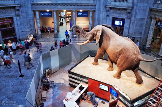 自然历史博物馆