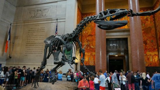 自然历史博物馆