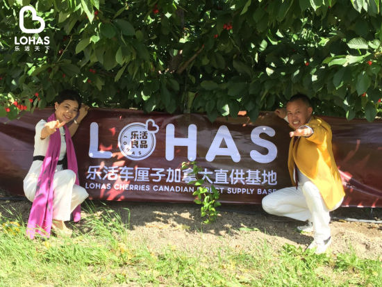 乐活天下加拿大车厘子直采基地 乐活天下加拿大车厘子直采基地