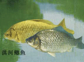 俺a~
