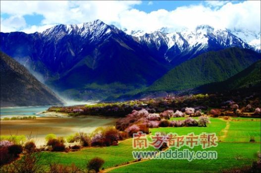 春游林芝 看桃红柳绿草长莺飞(组图)