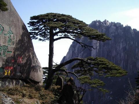 组图:领略黄山韵味 冬季黄山自助游攻略